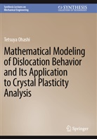 Tetsuya Ohashi - Mathematical Modeling of Dislocation Behavior and Its Application to Crystal Plasticity Analysis