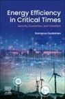 Romanus Osabohien - Energy Efficiency in Critical Times