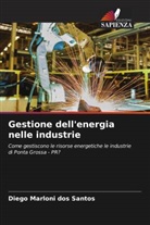Diego Marloni Dos Santos - Gestione dell'energia nelle industrie