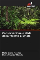 Melle Ekane Maurice, Ekabe Quenter Mbinde - Conservazione e sfide della foresta pluviale