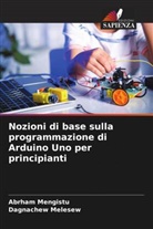 Dagnachew Melesew, Abrham Mengistu - Nozioni di base sulla programmazione di Arduino Uno per principianti