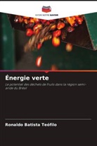 Ronaldo Batista Teófilo - Énergie verte