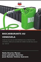 Nolis Bracho Moran, José Labrador Ramírez, José Ramón Vielma Guevara - BIOCARBURANTS AU VENEZUELA