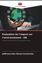 Jefferson Alex Maciel Cavalcante - Évaluation de l'impact sur l'environnement - EIE