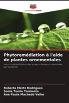 Ana Paula Machado Velho, Roberta Mertz Rodrigues, Sonia Tomie Tanimoto - Phytoremédiation à l'aide de plantes ornementales