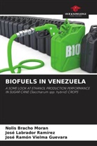 Nolis Bracho Moran, José Labrador Ramírez, José Ramón Vielma Guevara - BIOFUELS IN VENEZUELA