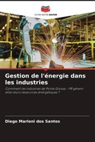 Diego Marloni dos Santos - Gestion de l'énergie dans les industries
