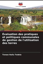 Tenaw Hailu Tedela - Évaluation des pratiques et politiques communales de gestion de l'utilisation des terres