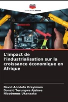 Donald Terungwa Ajekwe, David Aondofa Orayimam, Nicodemus Ukanaaka - L'impact de l'industrialisation sur la croissance économique en Afrique