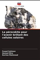 Karima Mahmoud, Hamed Mira, Fouad Soliman - La pérovskite pour l'avenir brillant des cellules solaires
