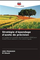 M Ghosh, M. Ghosh, Ved Prakash - Stratégie d'épandage d'azote de précision