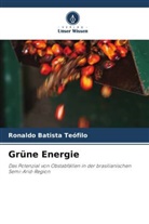 Ronaldo Batista Teófilo - Grüne Energie