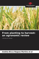 Andréa Bicca Noguez Martins et al - From planting to harvest: an agronomic review