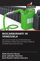 Nolis Bracho Moran, José Labrador Ramírez, José Ramón Vielma Guevara - BIOCARBURANTI IN VENEZUELA