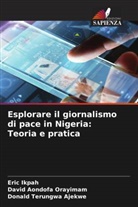 Donald Terungwa Ajekwe, Eric Ikpah, David Aondofa Orayimam - Esplorare il giornalismo di pace in Nigeria: Teoria e pratica