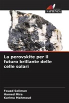 Karima Mahmoud, Hamed Mira, Fouad Soliman - La perovskite per il futuro brillante delle celle solari