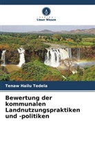 Tenaw Hailu Tedela - Bewertung der kommunalen Landnutzungspraktiken und -politiken