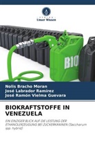 Nolis Bracho Moran, José Labrador Ramírez, Vielma, José Ramón Vielma Guevara - BIOKRAFTSTOFFE IN VENEZUELA
