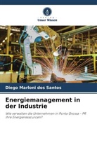 Diego Marloni dos Santos - Energiemanagement in der Industrie