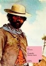 José Hernández - El gaucho Martín Fierro