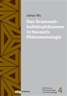 Jiahao Wu - Das Grammatikalitätsphänomen in Husserls Phänomenologie