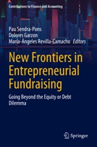 Dolores Garzon, María-Ángeles Revilla-Camacho, Pau Sendra-Pons - New Frontiers in Entrepreneurial Fundraising