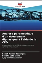 Ajay Vikram Ahirwar, Satish Kumar Dewangan, Shobha Lata Sinha - Analyse paramétrique d'un écoulement diphasique à l'aide de la CFD