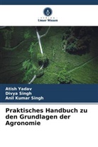 Anil Kumar Singh, Divya Singh, Atish Yadav - Praktisches Handbuch zu den Grundlagen der Agronomie