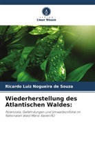 Ricardo Luiz Nogueira de Souza - Wiederherstellung des Atlantischen Waldes: