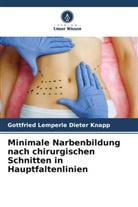 Gottfried Lemperle Dieter Knapp - Minimale Narbenbildung nach chirurgischen Schnitten in Hauptfaltenlinien