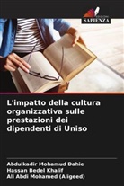 Abdulkadir Mohamud Dahie, Hassan Bedel Khalif, Ali Abdi Mohamed (Aligeed) - L'impatto della cultura organizzativa sulle prestazioni dei dipendenti di Uniso