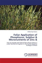 Wilfred Kojo Kokonu - Foliar Application of Phosphorus, Sulphur & Micronutrients of Zinc &