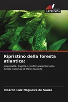 Ricardo Luiz Nogueira de Souza - Ripristino della foresta atlantica: