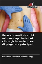 Gottfried Lemperle Dieter Knapp - Formazione di cicatrici minime dopo incisioni chirurgiche nelle linee di piegatura principali