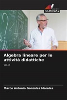 Marco Antonio González Morales - Algebra lineare per le attività didattiche