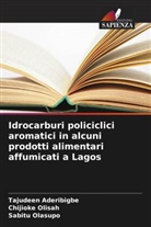 Tajudeen Aderibigbe, Sabitu Olasupo, Chijioke Olisah - Idrocarburi policiclici aromatici in alcuni prodotti alimentari affumicati a Lagos