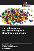 Arshia Berry, Rohit Chauhan, Muhammad Shaharyar - Un polimero per sostituire le leghe di alluminio e magnesio