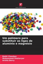 Arshia Berry, Rohit Chauhan, Muhammad Shaharyar - Um polímero para substituir as ligas de alumínio e magnésio