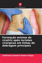 Gottfried Lemperle Dieter Knapp - Formação mínima de cicatriz após incisões cirúrgicas em linhas de dobragem principais