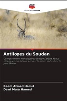 Reem Ahmed Hamid, Dawi Musa Hamed - Antilopes du Soudan