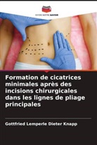 Gottfried Lemperle Dieter Knapp - Formation de cicatrices minimales après des incisions chirurgicales dans les lignes de pliage principales