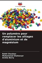 Arshia Berry, Rohit Chauhan, Muhammad Shaharyar - Un polymère pour remplacer les alliages d'aluminium et de magnésium