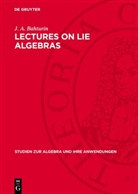 J. A. Bahturin - Lectures on Lie Algebras