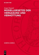 Sergei Traustel - Modellgesetze der Vergasung und Verhüttung