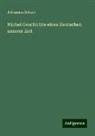 Johannes Scherr - Michel Geschichte eines Deutschen unserer Zeit