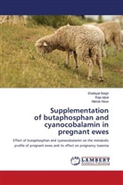 Shafayat Beigh, Raja Iqbal, Mehak Nisar - Supplementation of butaphosphan and cyanocobalamin in pregnant ewes