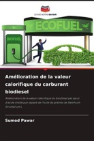 Sumod Pawar - Amélioration de la valeur calorifique du carburant biodiesel