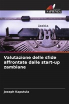 Joseph Kaputula - Valutazione delle sfide affrontate dalle start-up zambiane