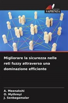 A. Meenakshi, O. Mythreyi, J. Senbagamalar - Migliorare la sicurezza nelle reti fuzzy attraverso una dominazione efficiente
