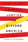 David A Sklansky, David A. Sklansky - Criminal Justice in Divided America